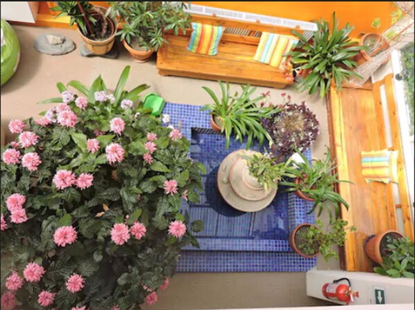 Giardino