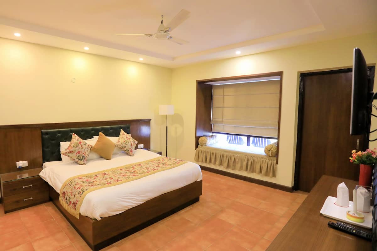 A hotel room with a large bed, a ceiling fan, a window with a view, and a TV mounted on the wall.