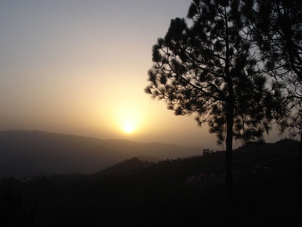 A tree silhouette against a sunset with distant hills. - Woodsvilla Residency Ranikhet (Ranikhet)