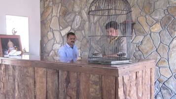 A reception desk with a stone wall background and a birdcage.