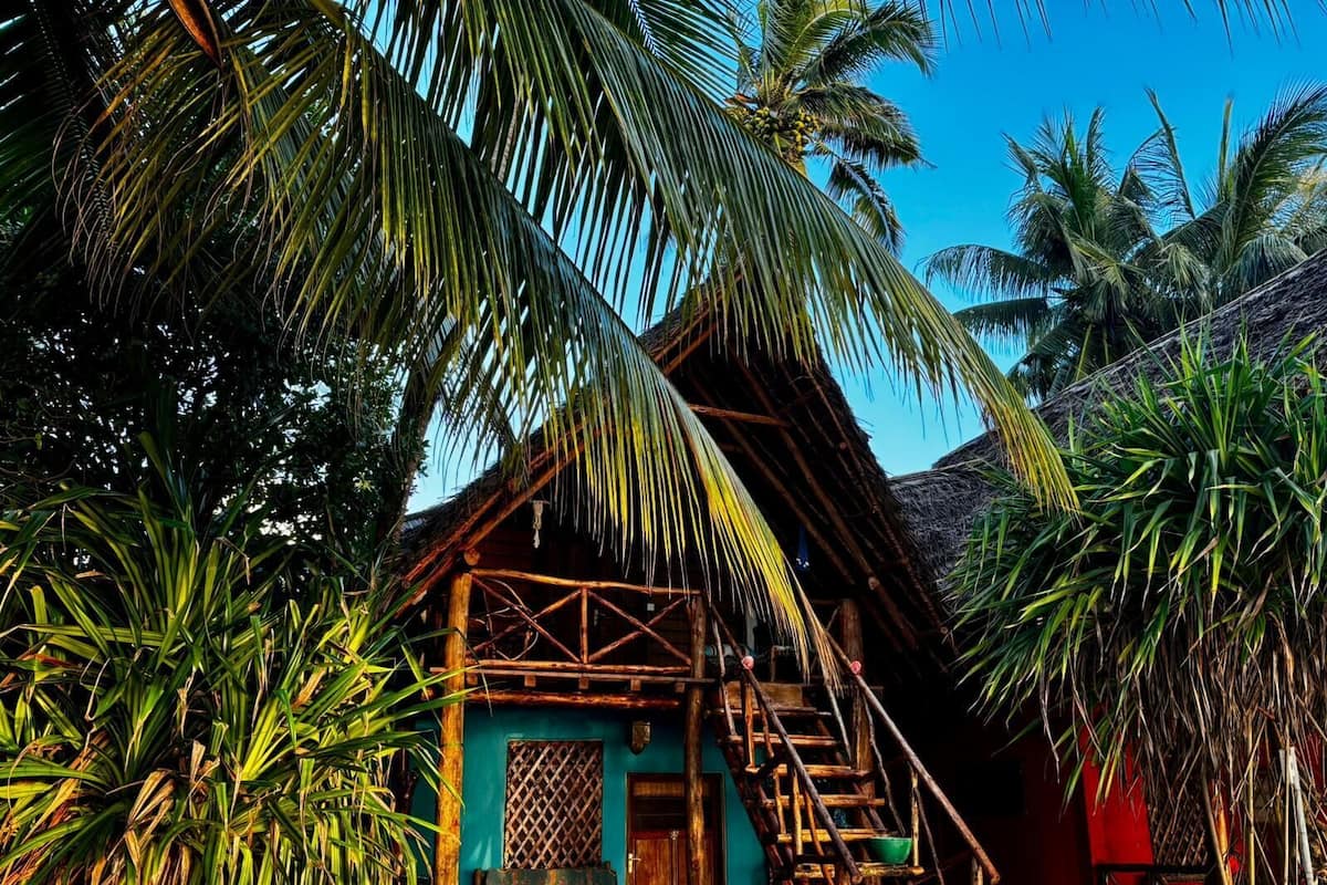 A rustic hut with a thatched roof, surrounded by palm trees and a wooden staircase leading to the entrance.
