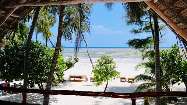 A beach view from a wooden structure with thatched roof, palm trees, and a sandy beach. - Evergreen Bungalows (Bwejuu)