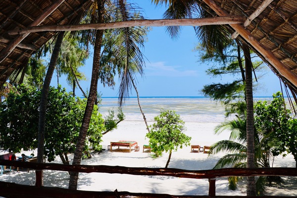 Beach/ocean view
