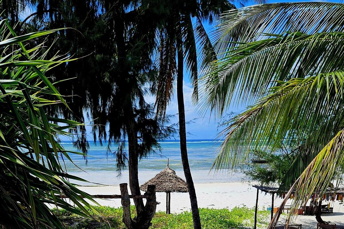 A beach with a wooden structure, palm trees, and a clear view of the ocean.