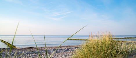 Beach nearby, white sand, free beach cabanas, sun-loungers