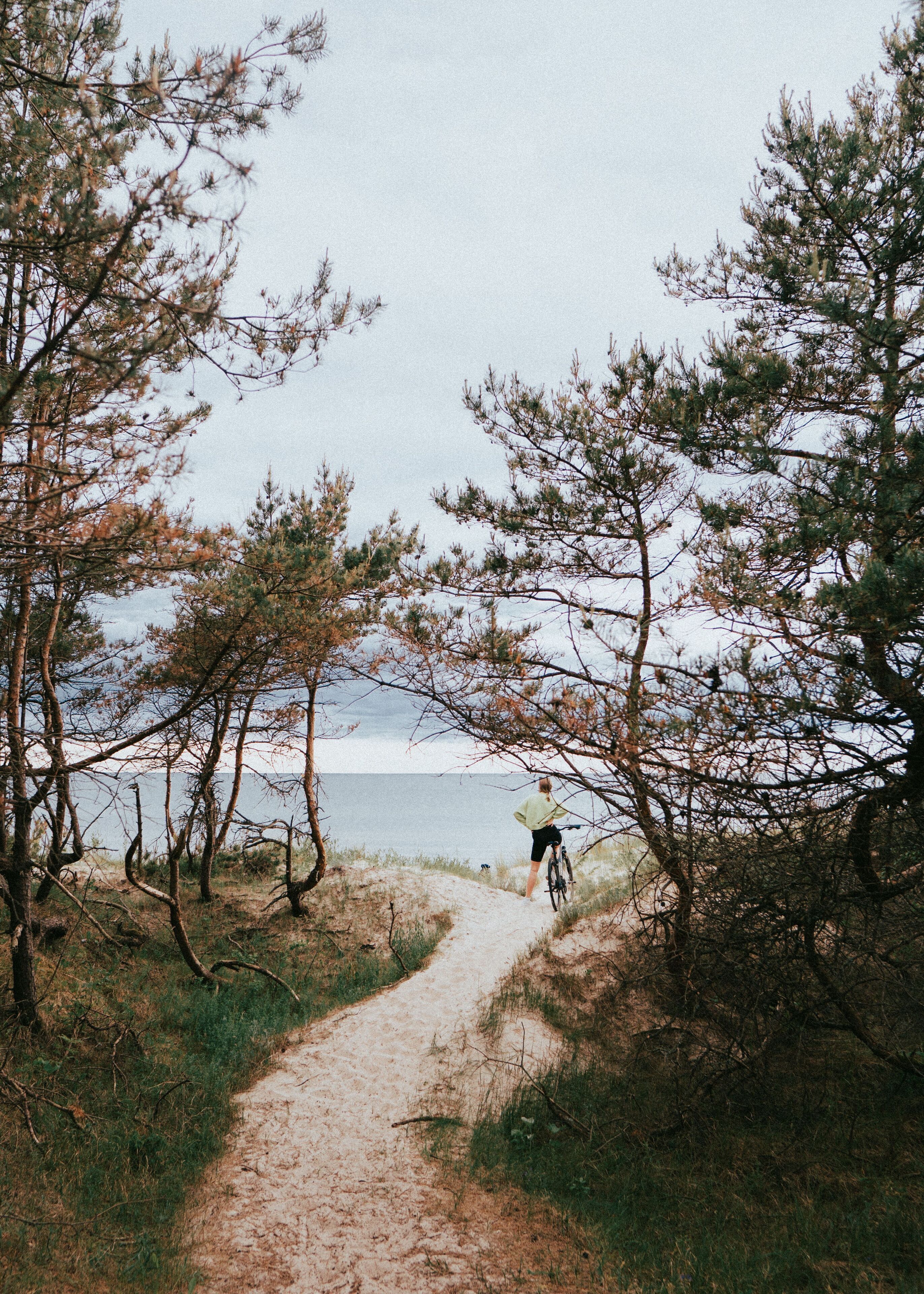 A narrow dirt path leading to a body of water, surrounded by trees.