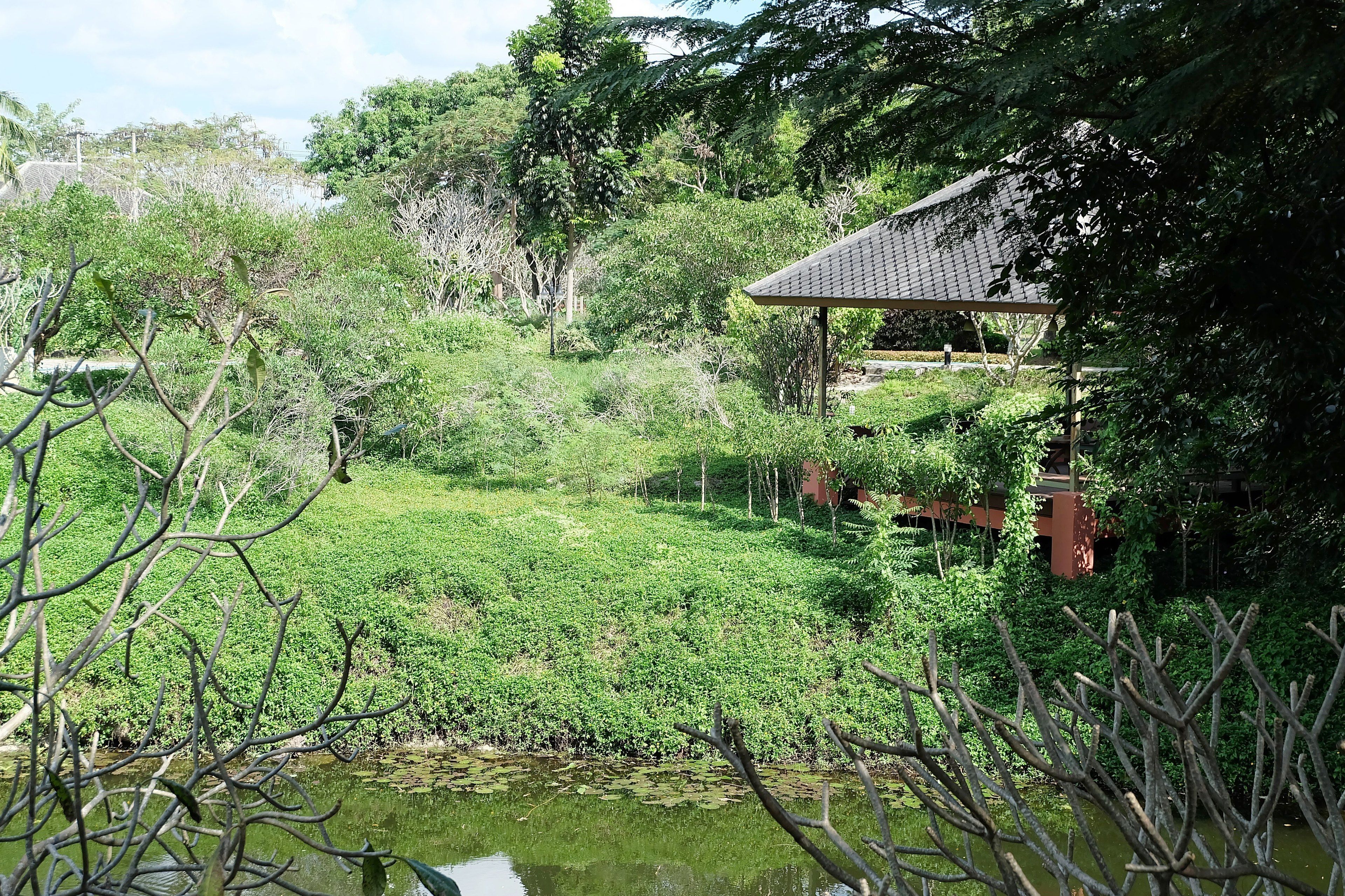 Ein friedlicher Garten mit Teich, üppiger Vegetation und einem Pavillon im traditionellen Stil.