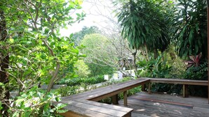 Una terraza de madera con bancos rodeada de exuberante vegetación y árboles.