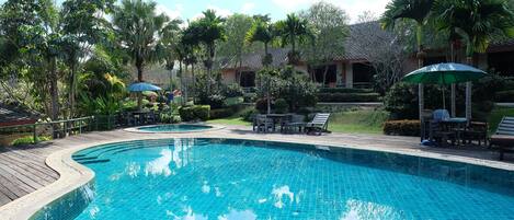 Outdoor pool, pool loungers