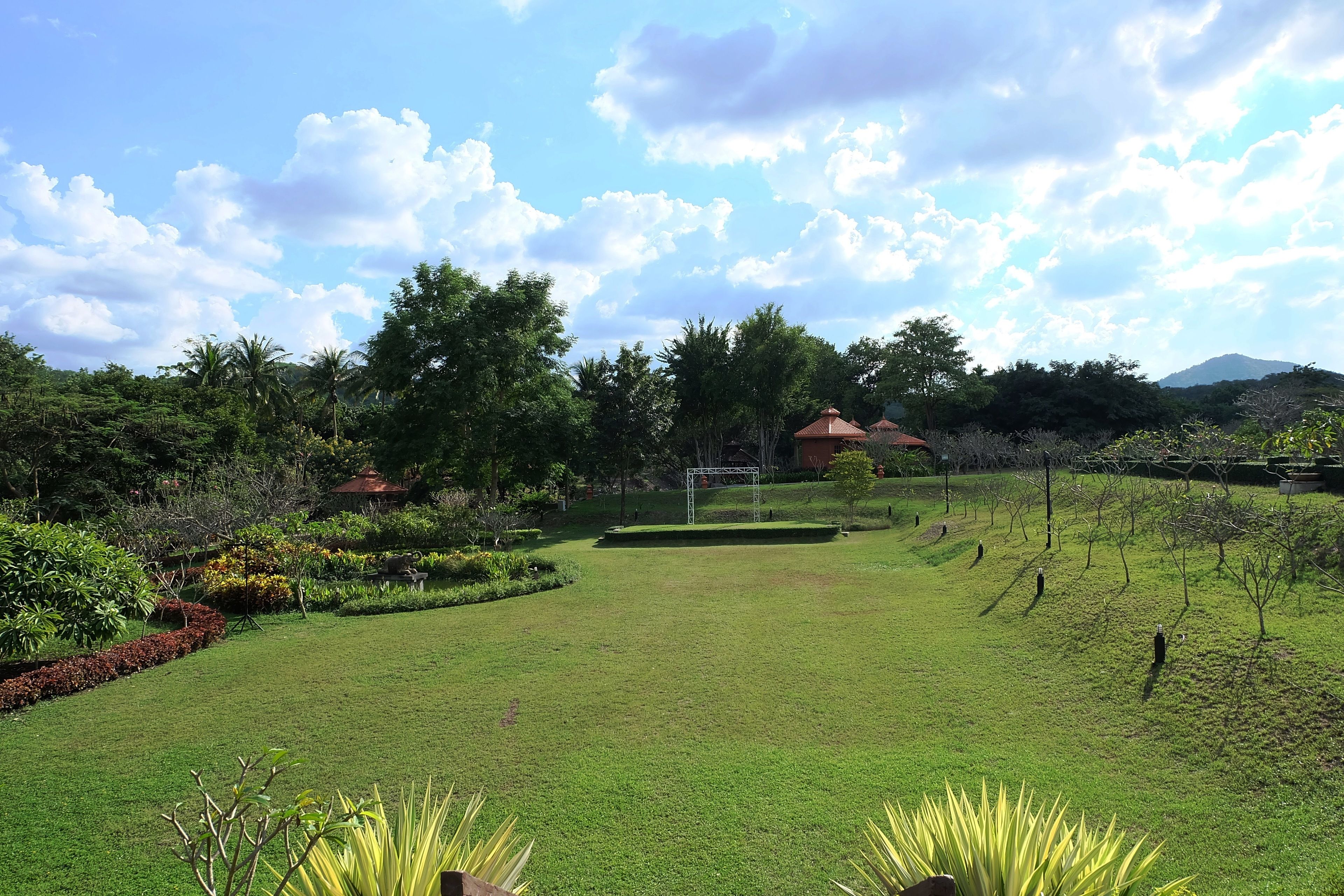 Un jardin bien entretenu, avec une grande variété de plantes et d’arbres, un ciel dégagé et une montagne qui se profile à l’horizon.