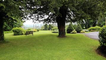 A well-maintained lawn with a large tree and a bench.