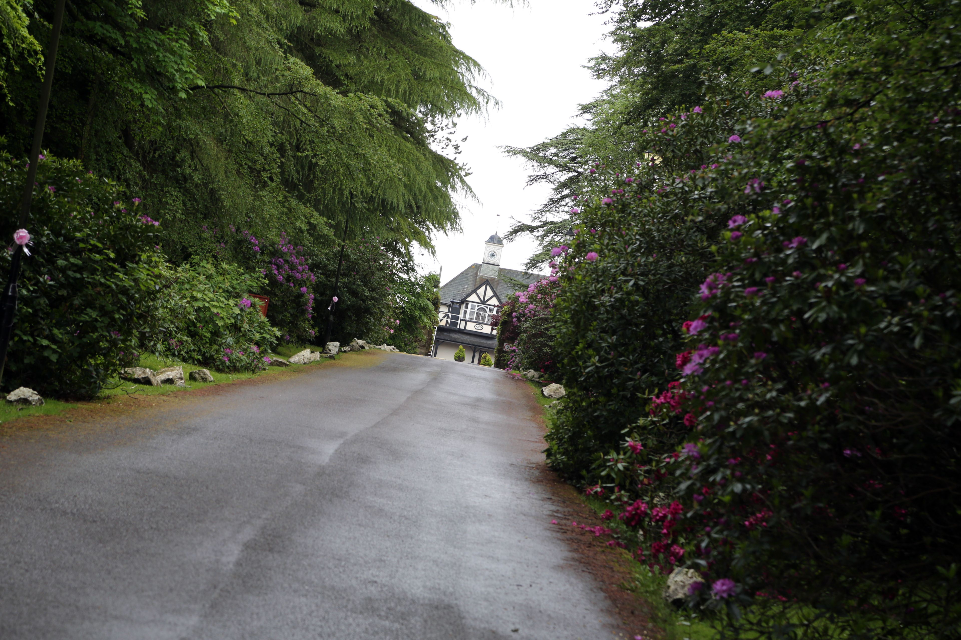 A narrow road flanked by dense greenery and a Tudor-style building with a clock tower.