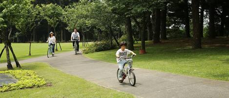 Utsikt til park