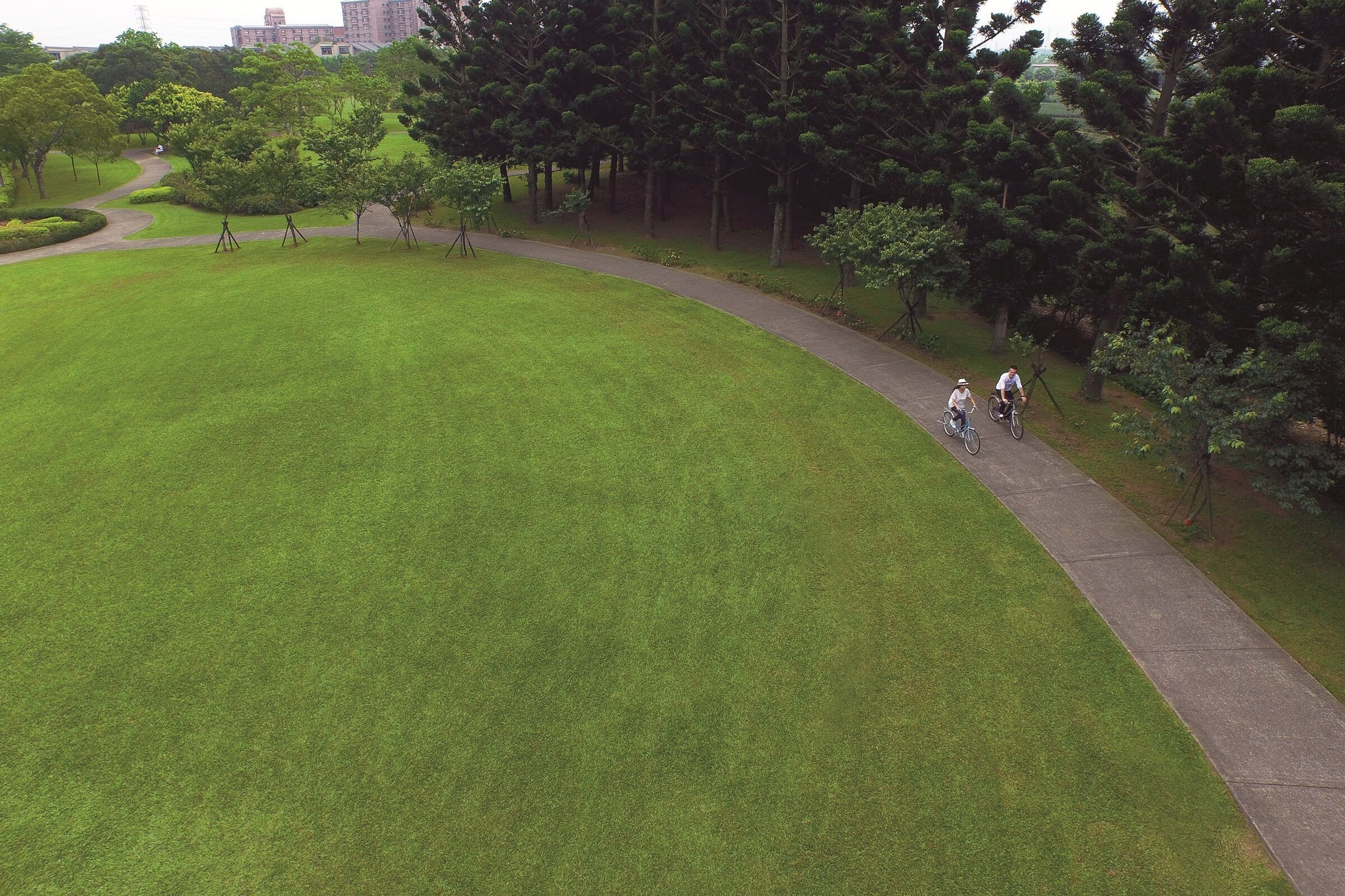 A park with a curved walking path, surrounded by trees and greenery.