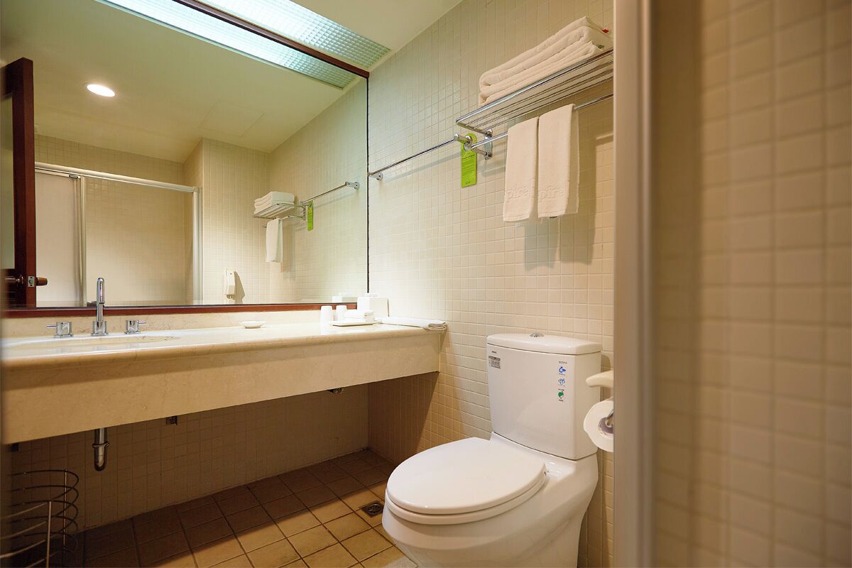Baño con lavamanos, espejo, inodoro y perchero para toallas.