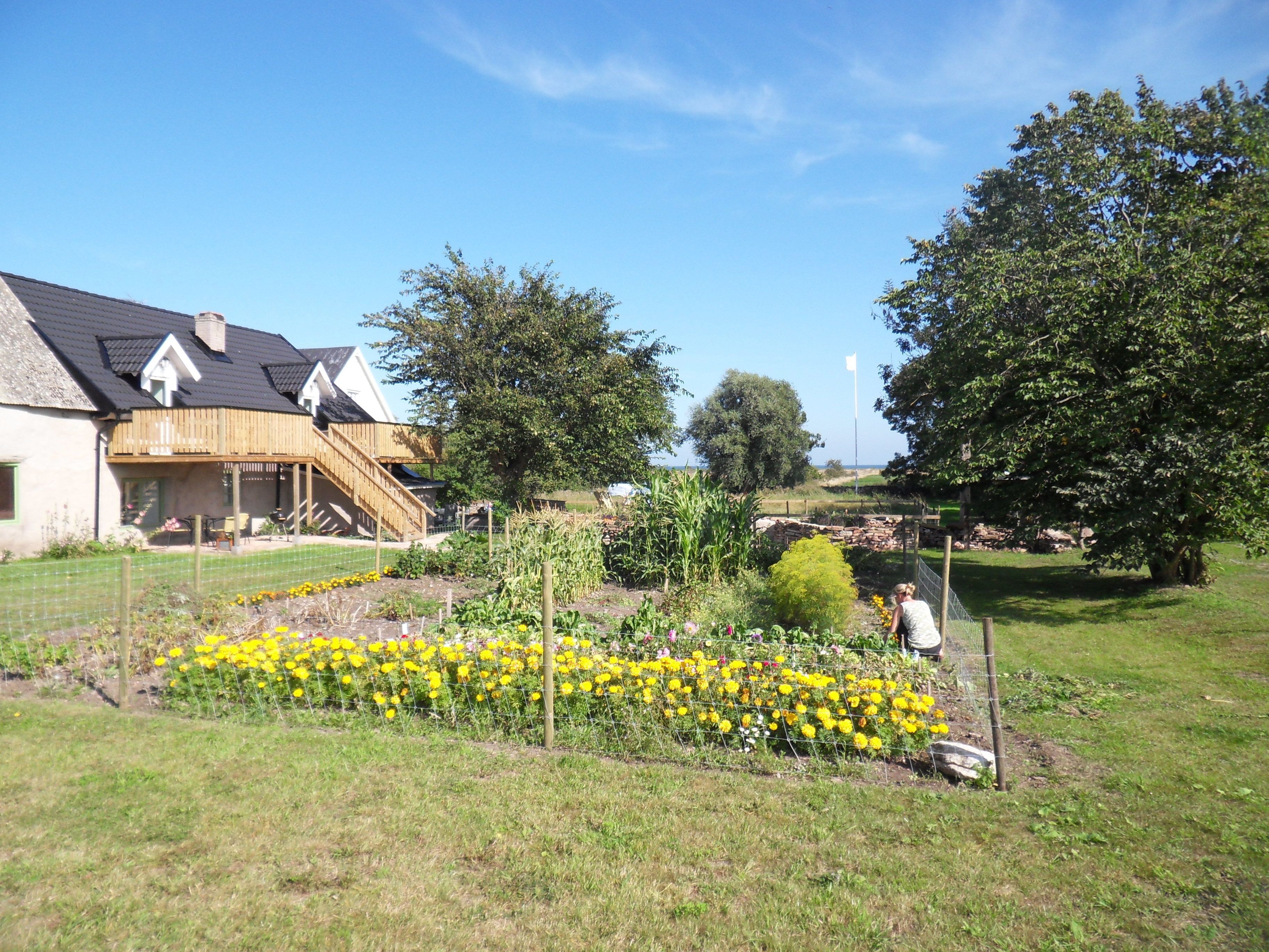 Jardín