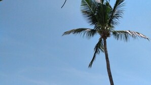 A beach with clear blue water, a sandy shore, and a palm tree. - Lalaguna Villas Luxury Dive Resort & Spa (Puerto Galera)