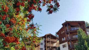 Ein mehrstöckiges Gebäude mit Balkonen und ein Baum mit roten Beeren im Vordergrund.