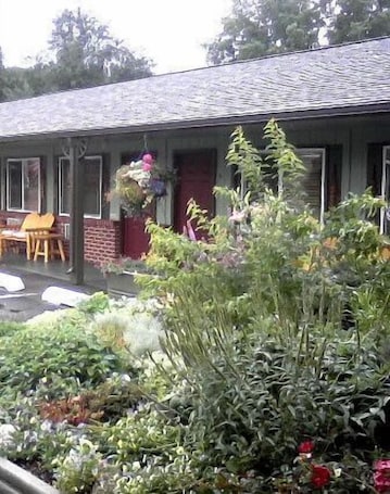 Property grounds. Mingo Motel
