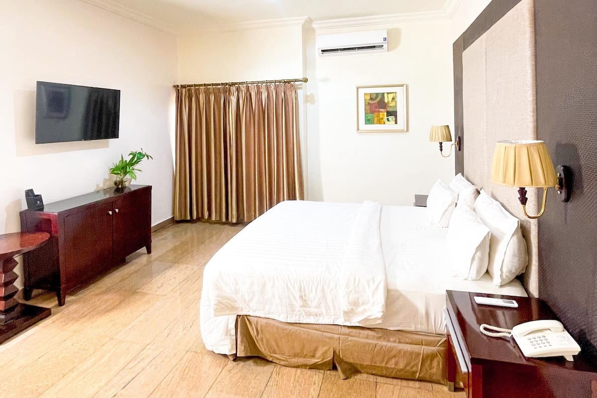 Una habitación de hotel con cama, escritorio, televisión, planta y equipo de aire acondicionado.