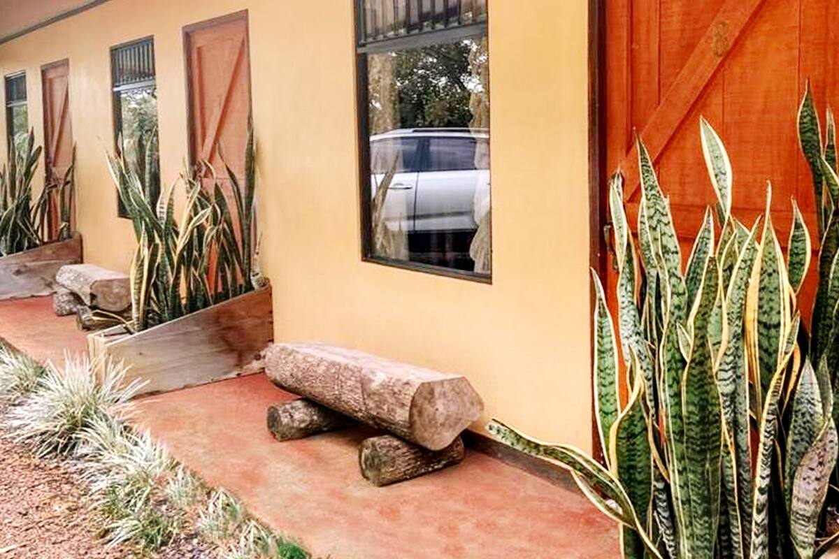 Un edificio con fachada amarilla, ventanas amplias y puerta de madera. Varias plantas en macetas y rocas bordean el camino que lleva a la entrada.