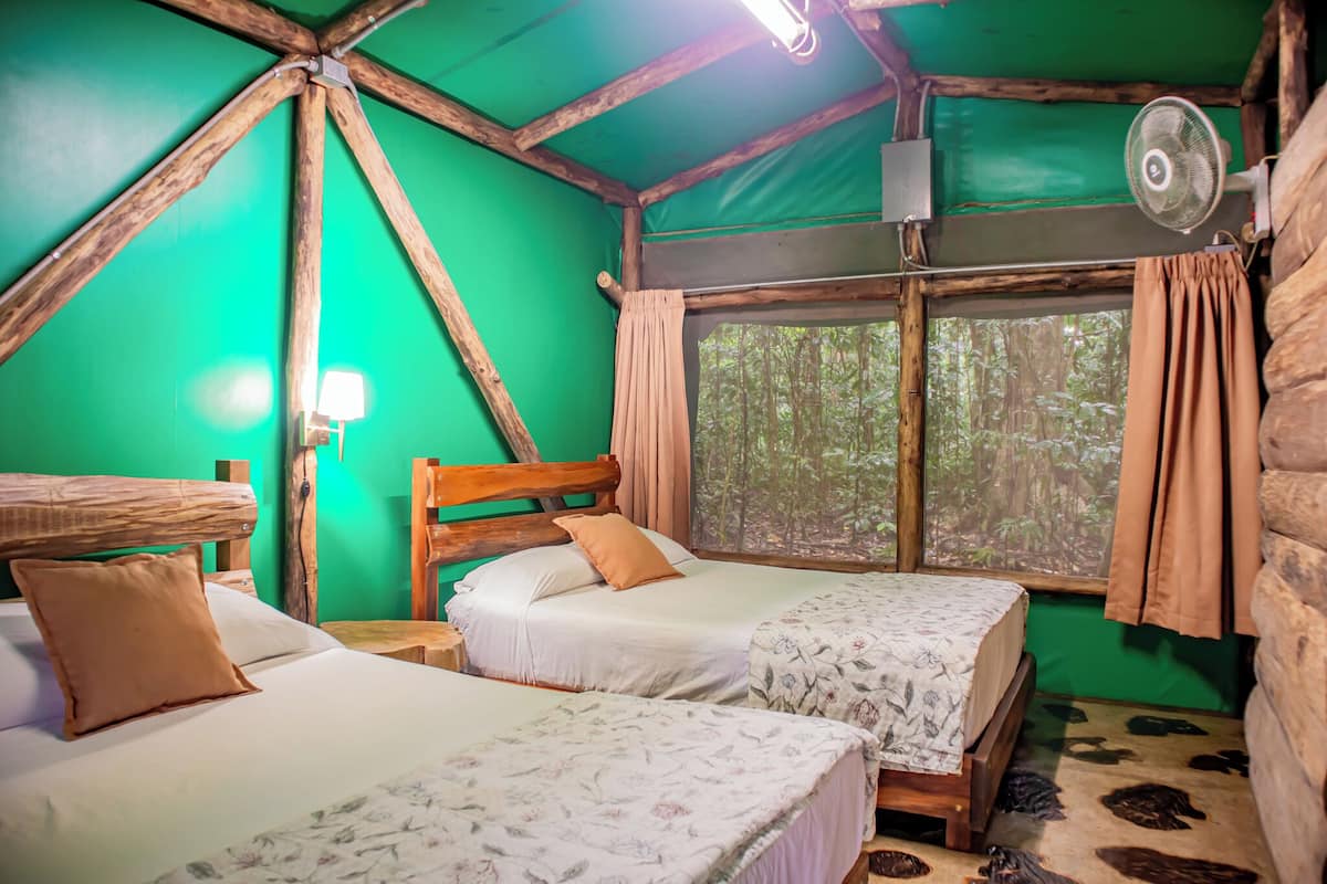 Una habitación con dos camas, una ventana con cortinas, un ventilador y una pared verde.