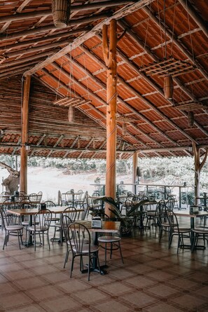 حيث تُقدم وجبات الإفطار، الغداء، العشاء، الأطباق المحلية