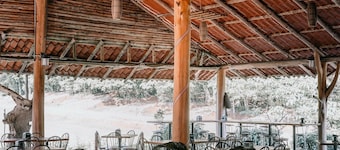 Hotel del Bosque