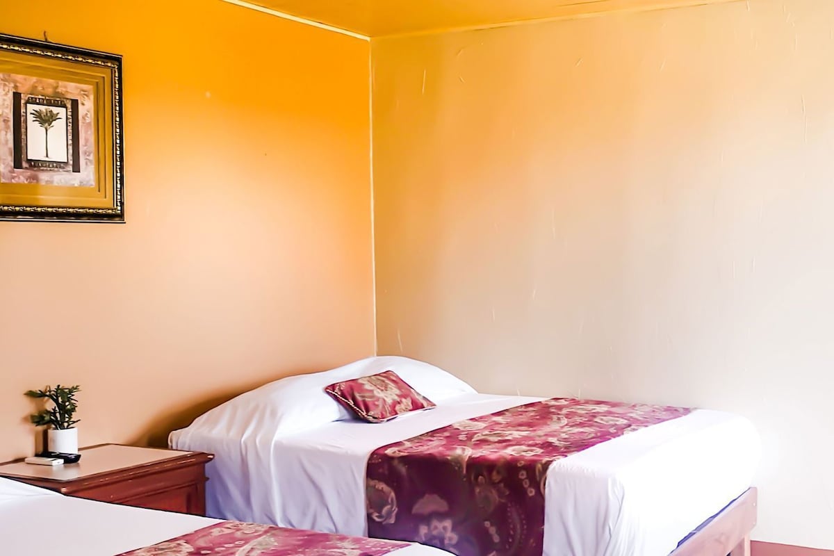 A room with a bed, a nightstand, a small plant, and a wooden door.