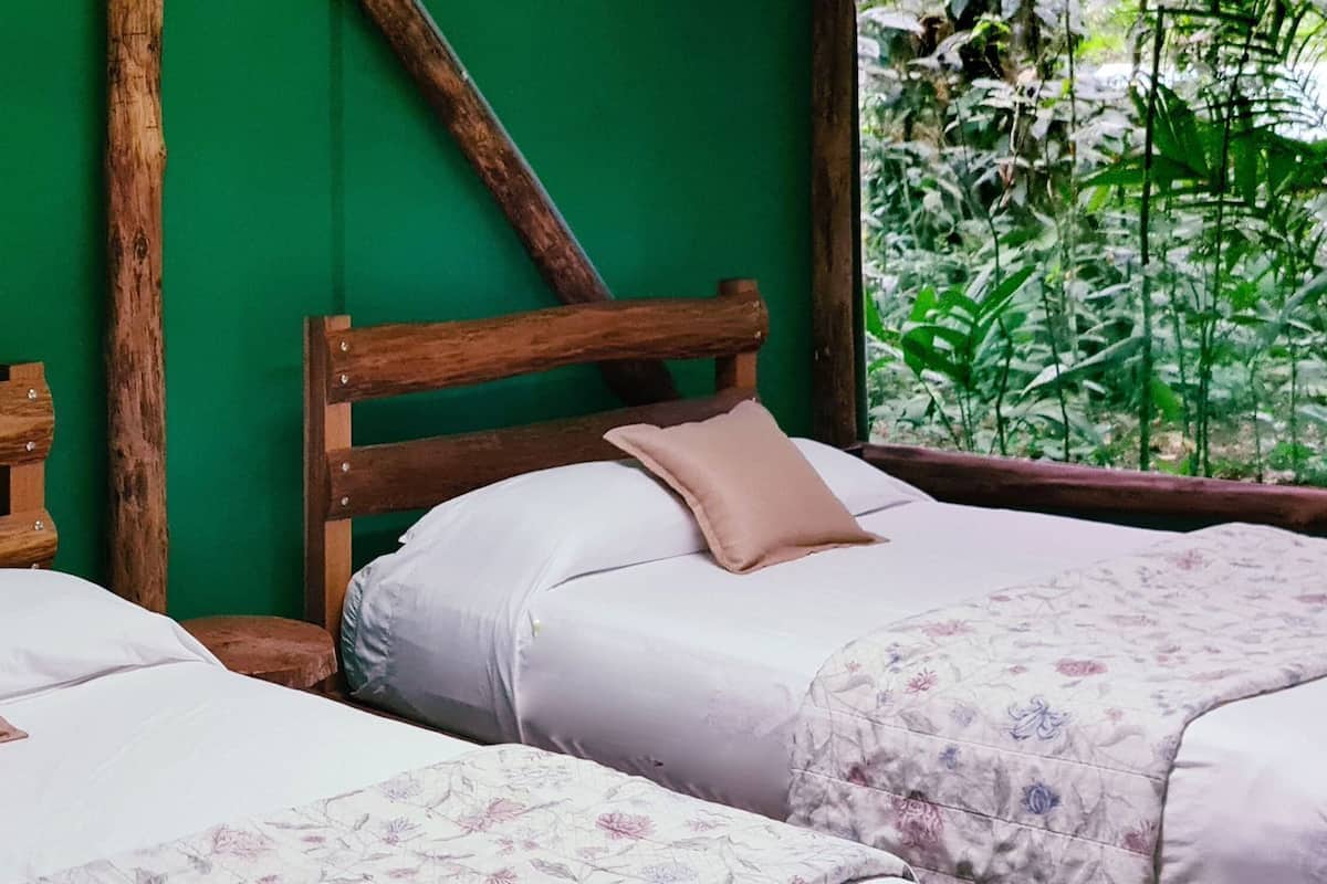 Ropa de cama de alta calidad, wifi gratis y ropa de cama