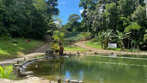 A pond with a stone border, surrounded by lush greenery and trees. - Hotel del Bosque (Santa Rita)