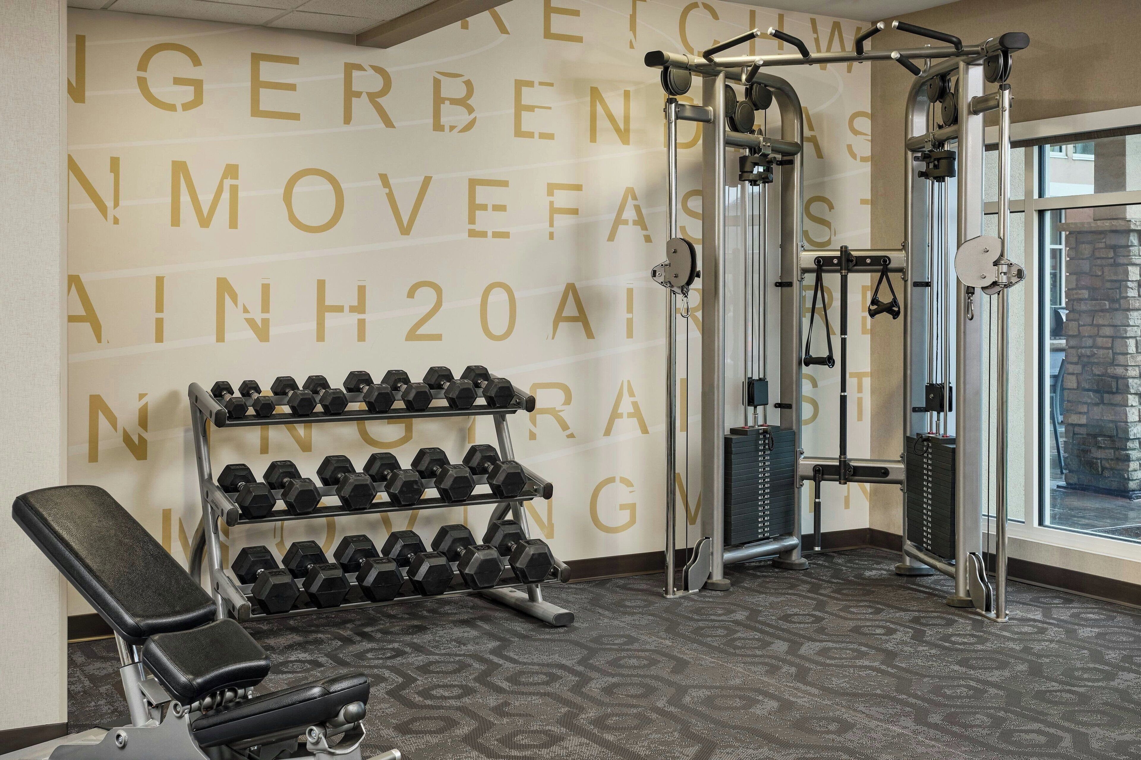 Un gimnasio con una banca, mancuernas y una estructura para sentadillas.