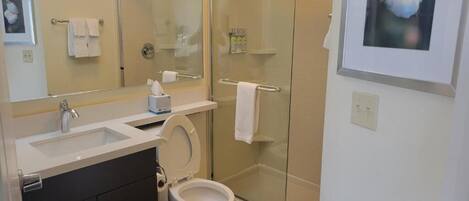 A modern bathroom with a toilet, sink, and glass shower enclosure.