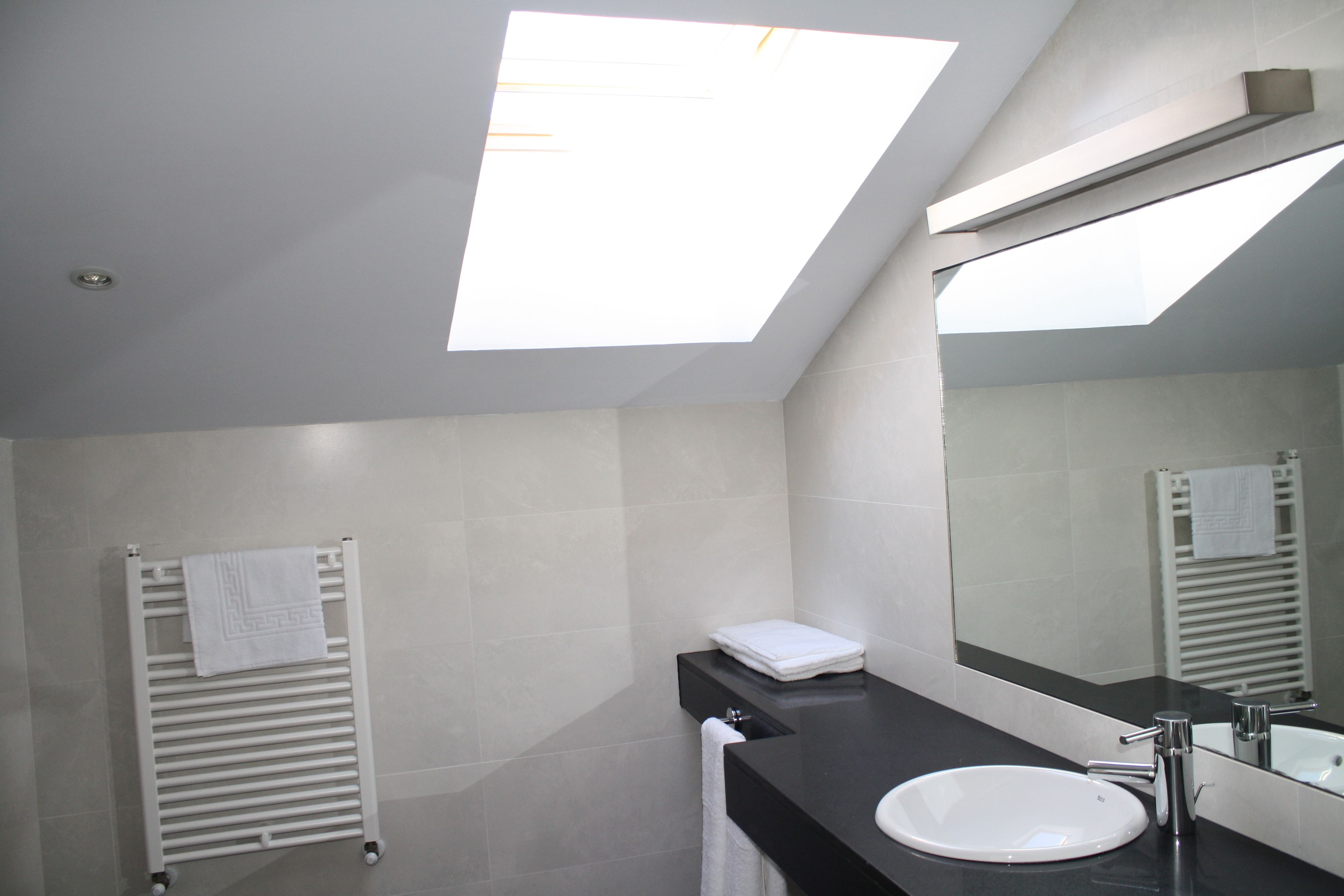 Une salle de bain moderne avec un puits de lumière, un lavabo blanc et un grand miroir.
