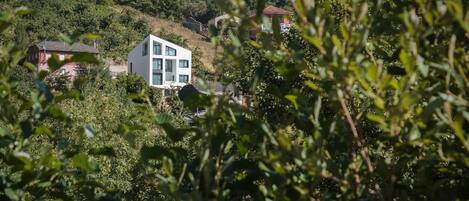 A modern two-story house surrounded by lush greenery and hills.