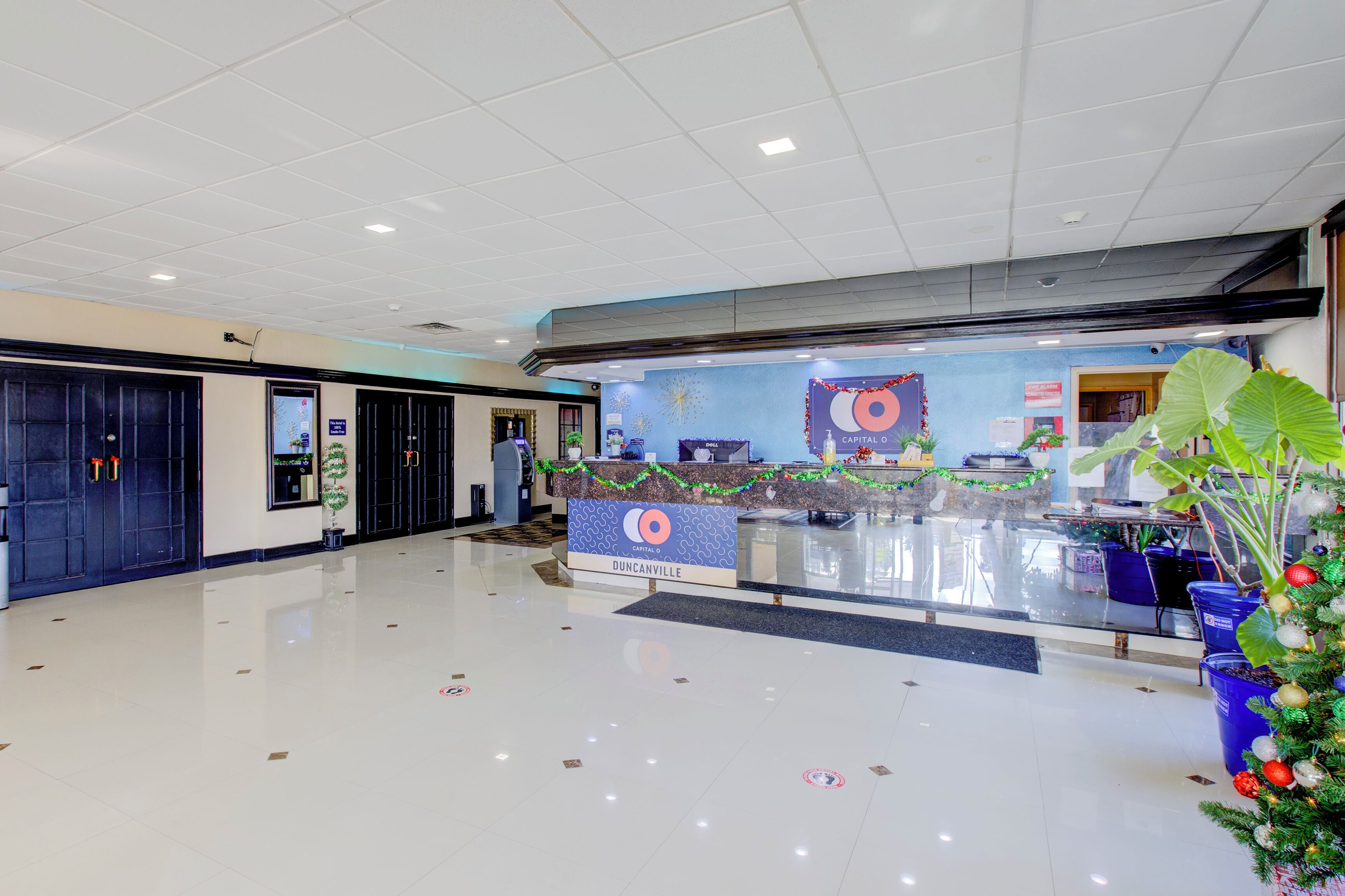 A spacious lobby with a reception desk, a large plant, and a Christmas tree.