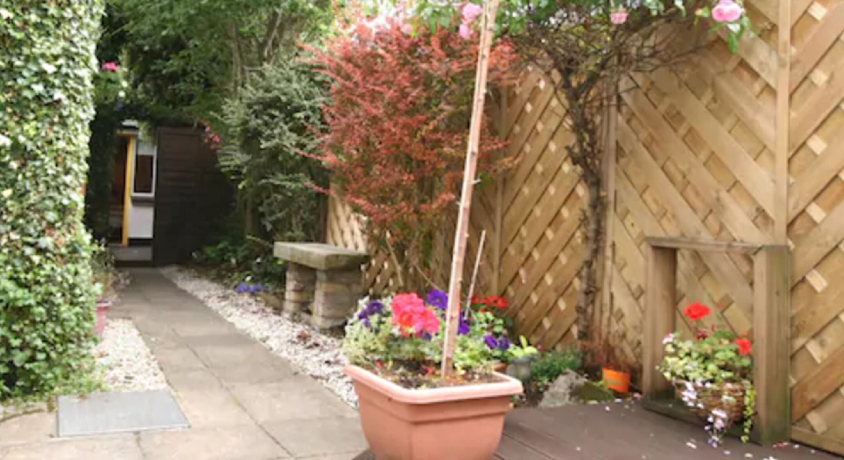 Foto - Donnybrook Hall