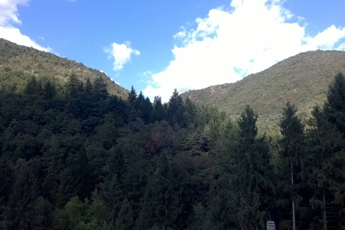 Quarto triplo econômico | Vista para a montanha