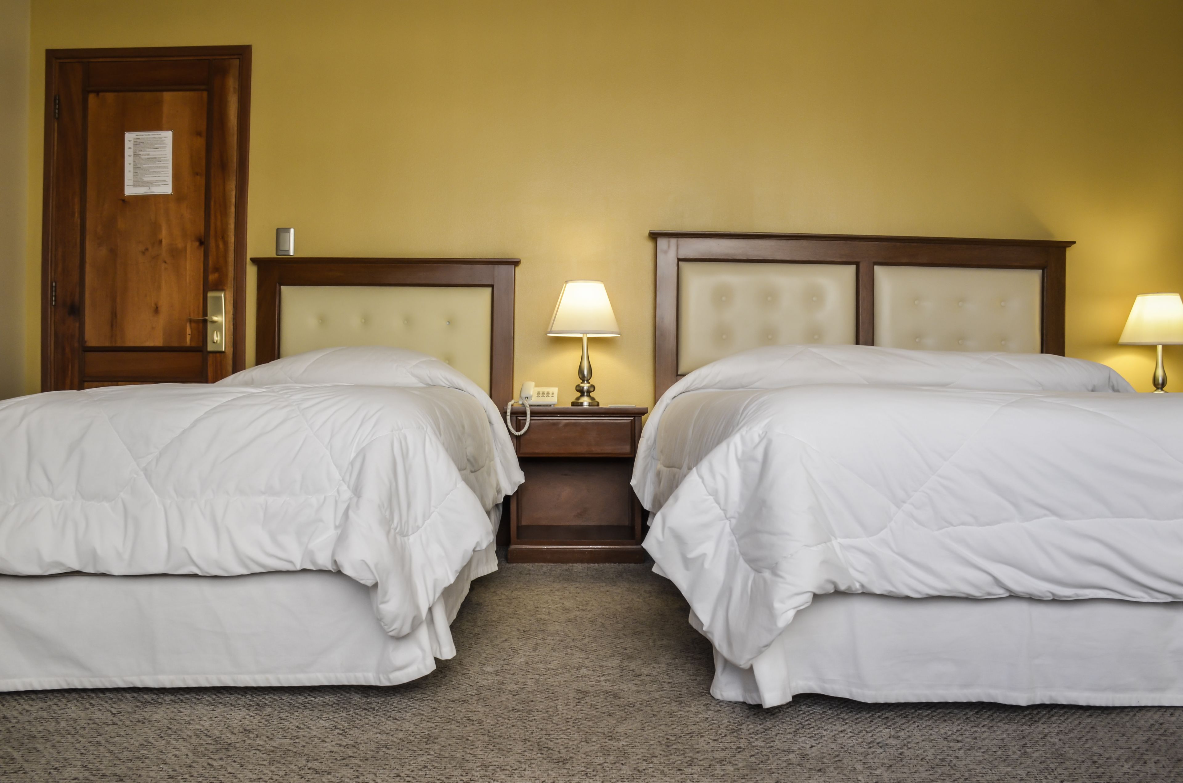 A hotel room with two beds, a wooden door, a nightstand with a lamp, and a carpeted floor.