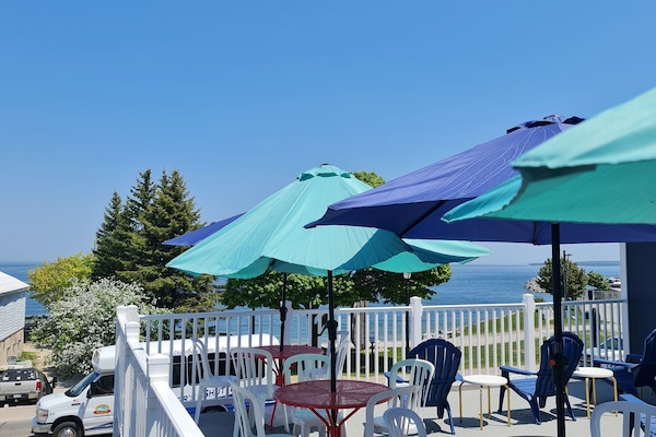 Terras