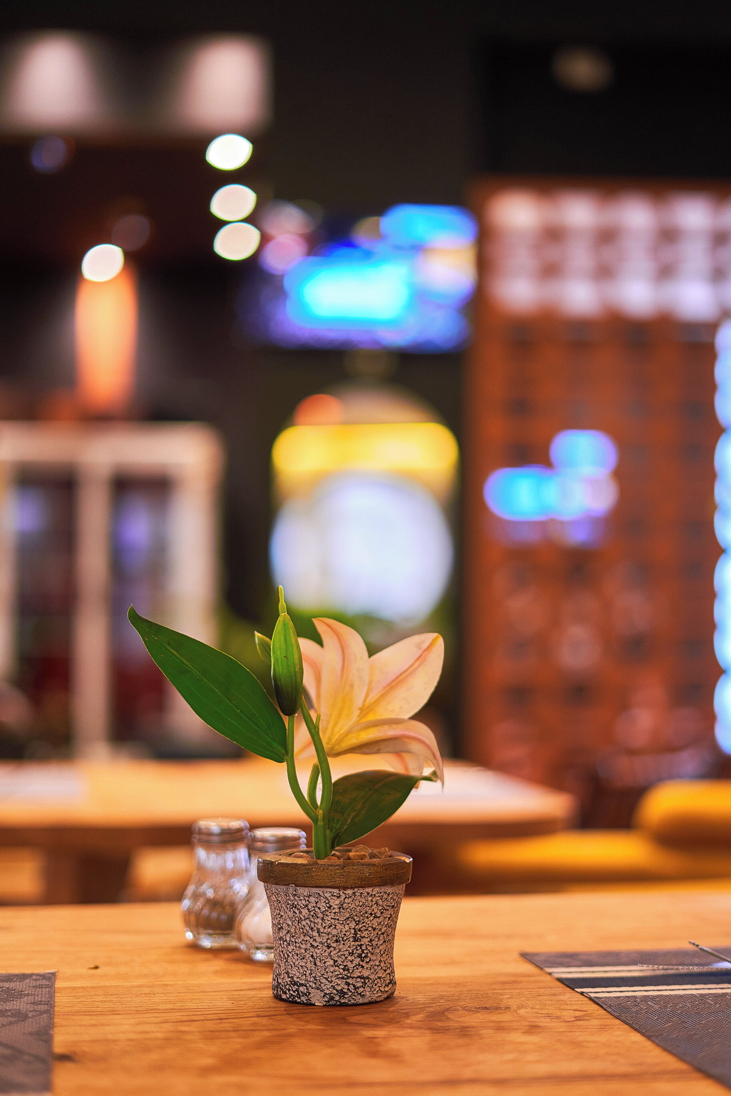 Foto - ONOMO Hotel Bamako