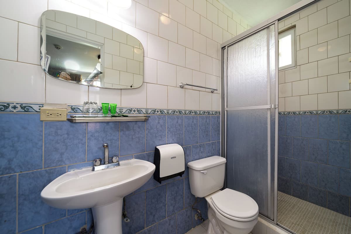 standard single room, 1 double bed, mountain view | bathroom | shower, free toiletries, towels