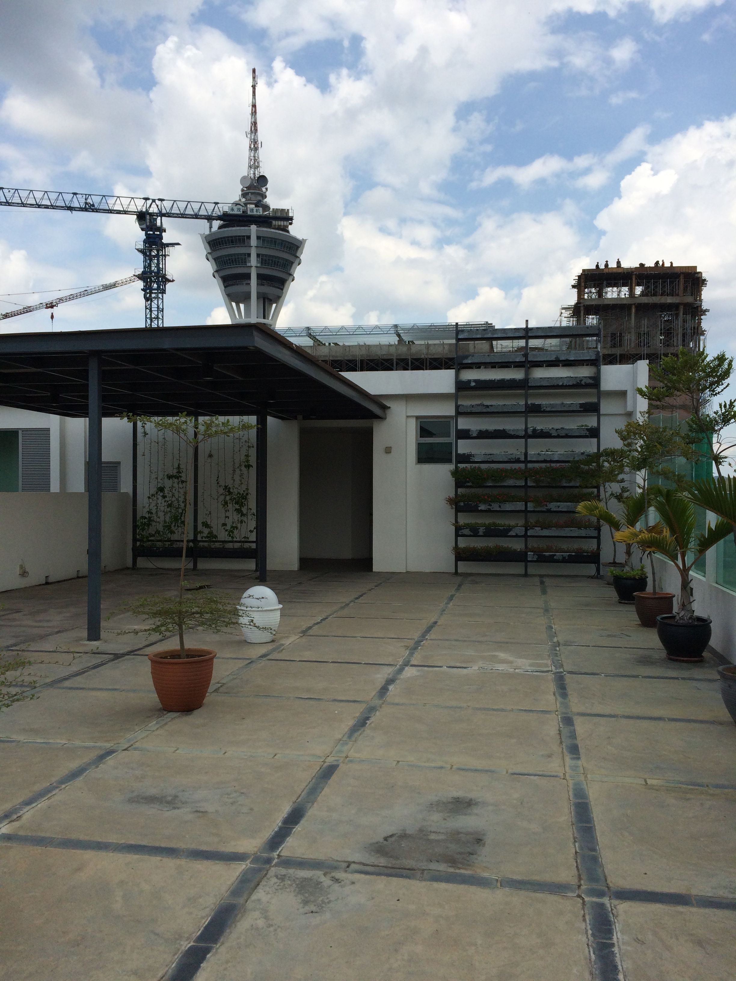 Una terraza en la azotea con plantas en macetas, un área de estar cubierta y vistas a una torre y edificios al fondo.