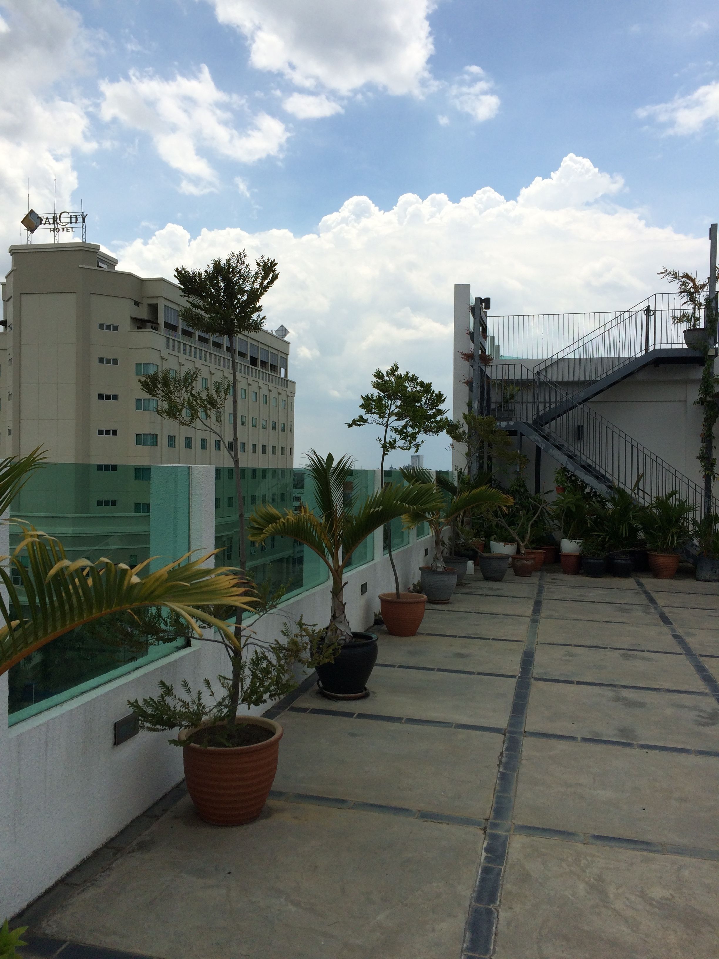 Terraço no telhado com plantas em vasos e escada que leva a um andar superior.