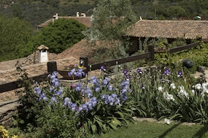 Detalle exterior