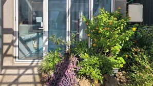 Entrada con puerta de vidrio y un pequeño jardín delantero, con diversas plantas y flores.