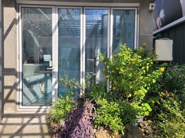 Classic Studio Suite | Garden view