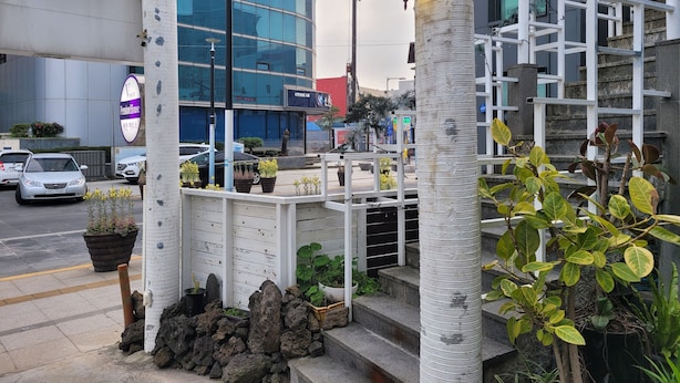 Un edificio moderno con fachada de vidrio, un letrero que dice 'V. S. SONS' a la izquierda y una escalera con plantas a la derecha.