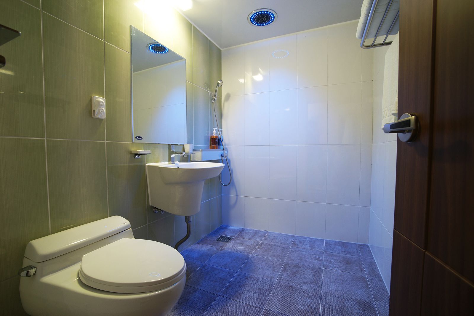 Une salle de bain avec des toilettes, un lavabo et une douche.