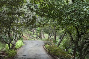 Jardín